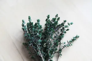 Czy zioła na hemoroidy są bezpieczne